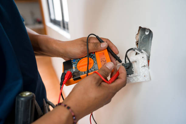 Best Electric Panel Repair  in Schaumburg, IL